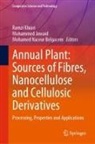 Mohamed Naceur Belgacem, Mohammed Jawaid, Ramzi Khiari, Mohamed Naceur Belgacem - Annual Plant: Sources of Fibres, Nanocellulose and Cellulosic Derivatives