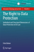 Felix Bieker - The Right to Data Protection