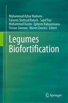 Muhammad Aasim, Faheem Shehzad Baloch, Sajid Fiaz, Sajid Fiaz et al, Ephrem Habyarimana, Muhammad Azhar Nadeem... - Legumes Biofortification