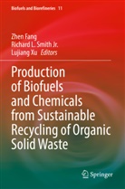 Zhen Fang, Richard L Smith Jr, Richard L. Smith Jr, Richard L. Smith Jr., Lujiang Xu - Production of Biofuels and Chemicals from Sustainable Recycling of Organic Solid Waste