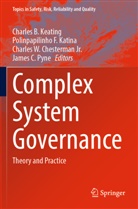 Charles W. Chesterman Jr., Polinpapilinho F Katina, Polinpapilinho F. Katina, Charles B. Keating, James C. Pyne, Ch W Chesterman Jr et al - Complex System Governance