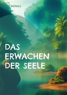 Paul Brönnle - Das Erwachen der Seele