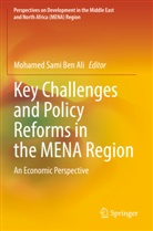 Mohamed Sami Ben Ali, Mohamed Sami Ben Ali - Key Challenges and Policy Reforms in the MENA Region