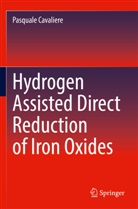 Pasquale Cavaliere - Hydrogen Assisted Direct Reduction of Iron Oxides