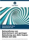 Mamulaishvili Nora, Khitarishvili Tea - Behandlung von Bohrlöchern mit geringer Belastung aus dem Supsa-Ölfeld mit SAS