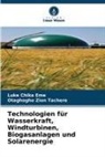 Luke Chika Eme, Otaghogho Zion Tachere - Technologien für Wasserkraft, Windturbinen, Biogasanlagen und Solarenergie