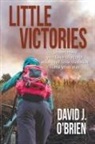 David J. O'Brien - Little Victories