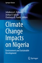 Chaitanya B Pande, Johnbosco C. Egbueri, Joshua O. Ighalo, Joshua O Ighalo, Chaitanya B. Pande - Climate Change Impacts on Nigeria