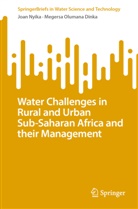 Megersa Olumana Dinka, Joan Nyika, Mwihaki Joan Nyika - Water Challenges in Rural and Urban Sub-Saharan Africa and their Management