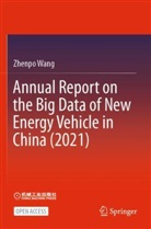 Zhenpo Wang - Annual Report on the Big Data of New Energy Vehicle in China (2021)