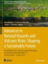 Helder I. Chaminé, Francisco Fernandes, Helder I Chaminé, Ana Malheiro - Advances in Natural Hazards and Volcanic Risks: Shaping a Sustainable Future