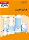 International Primary Science Workbook: Stage 6