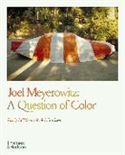 Joel Meyerowitz, Robert Shore - A Question of Color