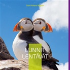 Sami Antero Nygrén - Lunnit Lentävät