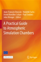 Jean-François Doussin, Hendrik Fuchs, Astrid Kiendler-Scharr, Astrid Kiendler-Scharr et al, Paul Seakins, John Wenger - A Practical Guide to Atmospheric Simulation Chambers