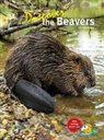 Uli Messlinger - Discover the Beavers