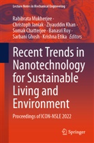 Somak Chatterjee, Krishna Etika, Sarbani Ghosh, Christoph Janiak, Ziyauddin Khan, Ziyauddin Khan et al... - Recent Trends in Nanotechnology for Sustainable Living and Environment