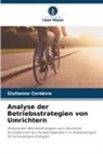Giulianno Cordeiro - Analyse der Betriebsstrategien von Umrichtern