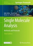 David Dulin, Iddo Heller, Erwin J G Peterman, Erwin J. G. Peterman, Erwin J.G. Peterman - Single Molecule Analysis