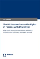 Lilit Grigoryan - The UN Convention on the Rights of Persons with Disabilities