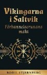 Bodil Stjernberg - Vikingarna i Saltvik