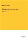 Berthold Auerbach - Schwarzwälder Dorfgeschichten