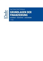 Alois Geyer, Michael Hanke, Edith Littich, Edith u a Littich, Michaela Nettekoven - Grundlagen der Finanzierung