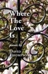 David Thompson - Where The Love Is