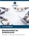 Sara Elkahlaoui - Beweismittel im Arbeitsrecht