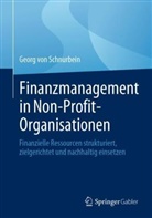 Georg von Schnurbein, von Schnurbein, Georg von Schnurbein - Finanzmanagement in Non-Profit-Organisationen