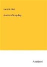 Louisa M. Alcott - Aunt Jo's Scrap-Bag