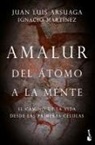 Ignacio Martínez - Amalur