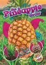 Kirsten Chang - See a Pineapple Grow