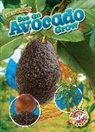 Kirsten Chang - See an Avocado Grow