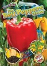 Kirsten Chang - See Bell Peppers Grow