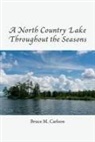 Bruce Carlson - A North Country Lake Throughout the Seasons