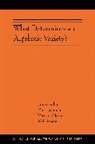 Janos Lieblich Kollar, János Kollár, Max Lieblich, Martin Olsson, Olsson Martin, Will Sawin - What Determines an Algebraic Variety?