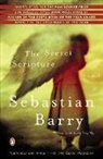 Sebastian Barry - The Secret Scripture