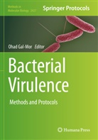 Ohad Gal-Mor - Bacterial Virulence
