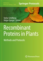 Stefan Schillberg, Spiegel, Holger Spiegel - Recombinant Proteins in Plants