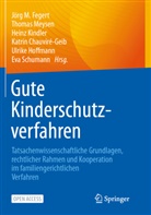 Katrin Chauviré-Geib, Jörg M. Fegert, Ulrike Hoffmann, Heinz Kindler, Heinz Kindler u a, Thomas Meysen... - Gute Kinderschutzverfahren