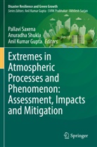Anil Kumar Gupta, Anil Kumar Gupta, Pallavi Saxena, Anuradha Shukla - Extremes in Atmospheric Processes and Phenomenon: Assessment, Impacts and Mitigation
