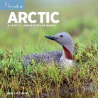 NATIONAL AUDUBON SOCIETY, Workman Calendars, Workman Calendars National Audubon Society - Audubon Arctic Calendar 2023