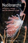 Christine Morrow, Morrow Christine, Bernard Picton, Bernard Morrow Picton, Picton Bernard - Nudibranchs of Britain, Ireland and Northwest Europe