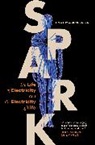 Timothy J. Jorgensen, Jorgensen Timothy J. - Spark
