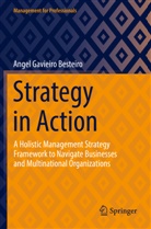 Angel Gavieiro Besteiro - Strategy in Action