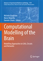 Michele Giugliano, Daniele Linaro, Mario Negrello - Computational Modelling of the Brain