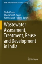 Abdelazim M Negm, Ram Narayan Yadava, Abdelazim M. Negm, Shalini Yadav, Ram Narayan Yadava - Wastewater Assessment, Treatment, Reuse and Development in India