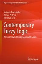 Vincenz Loia, Vincenzo Loia, Witold Pedrycz, Stefania Tomasiello - Contemporary Fuzzy Logic