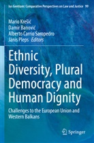 Damir Banovi¿, Damir Banovic, Alberto Carrio Sampedro et al, Mario Kre¿i¿, Mario Kresic, J¿nis Pleps... - Ethnic Diversity, Plural Democracy and Human Dignity